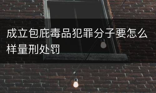 成立包庇毒品犯罪分子要怎么样量刑处罚