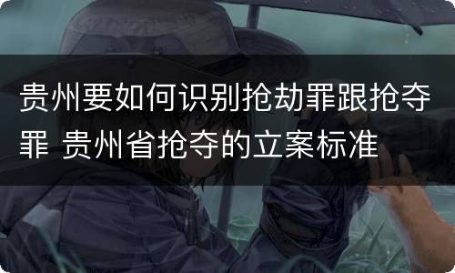 贵州要如何识别抢劫罪跟抢夺罪 贵州省抢夺的立案标准