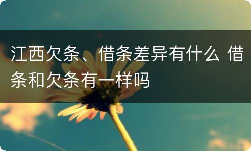 江西欠条、借条差异有什么 借条和欠条有一样吗