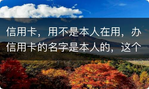信用卡，用不是本人在用，办信用卡的名字是本人的，这个我有责任吗