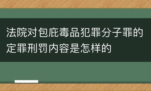 法院对包庇毒品犯罪分子罪的定罪刑罚内容是怎样的