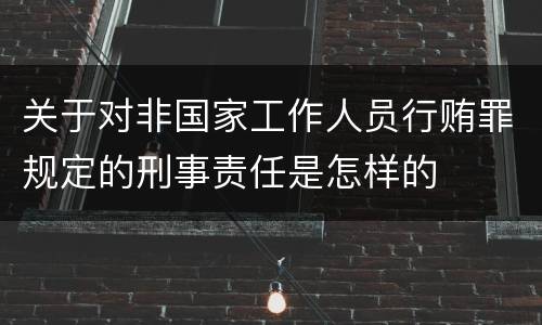 关于对非国家工作人员行贿罪规定的刑事责任是怎样的