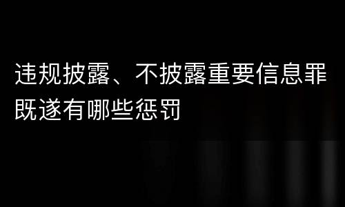违规披露、不披露重要信息罪既遂有哪些惩罚