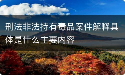 刑法非法持有毒品案件解释具体是什么主要内容