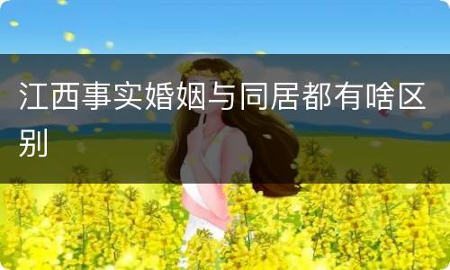 江西事实婚姻与同居都有啥区别