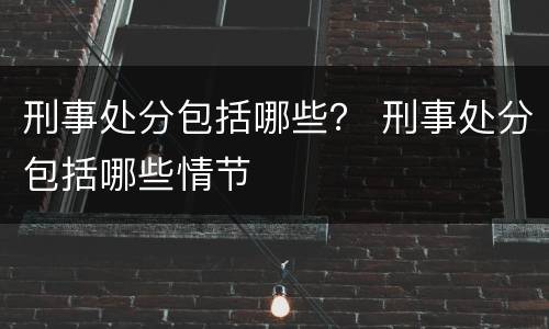 刑事处分包括哪些？ 刑事处分包括哪些情节