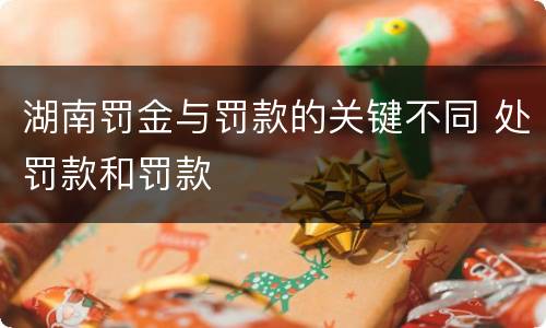 湖南罚金与罚款的关键不同 处罚款和罚款