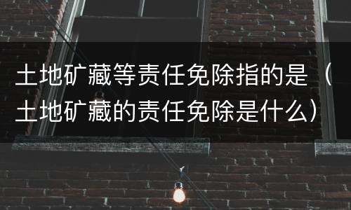 土地矿藏等责任免除指的是（土地矿藏的责任免除是什么）