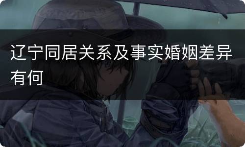 辽宁同居关系及事实婚姻差异有何