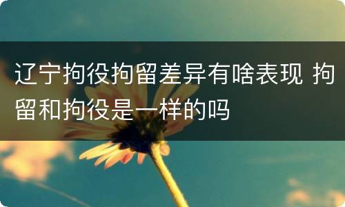 辽宁拘役拘留差异有啥表现 拘留和拘役是一样的吗