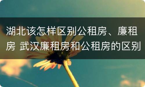 湖北该怎样区别公租房、廉租房 武汉廉租房和公租房的区别