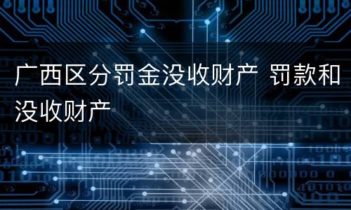 广西区分罚金没收财产 罚款和没收财产