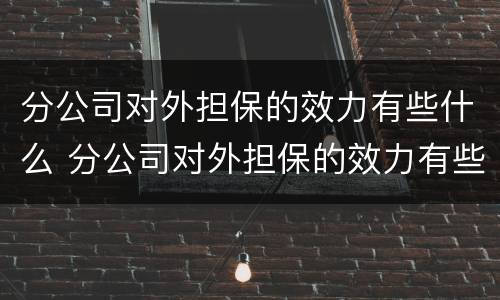 分公司对外担保的效力有些什么 分公司对外担保的效力有些什么要求