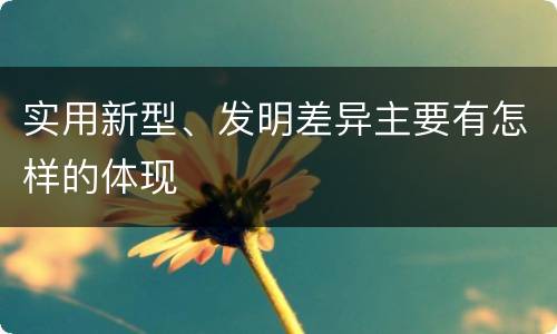 实用新型、发明差异主要有怎样的体现