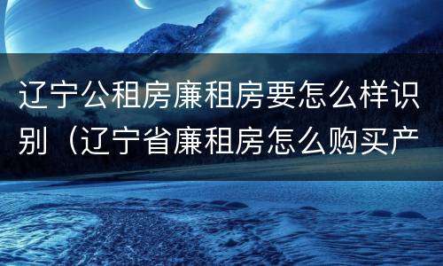 辽宁公租房廉租房要怎么样识别（辽宁省廉租房怎么购买产权）