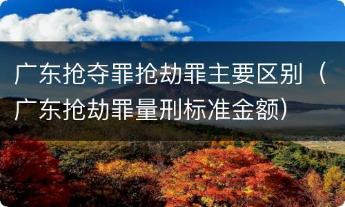 广东抢夺罪抢劫罪主要区别（广东抢劫罪量刑标准金额）