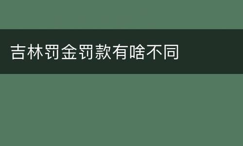 吉林罚金罚款有啥不同