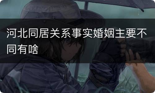 河北同居关系事实婚姻主要不同有啥