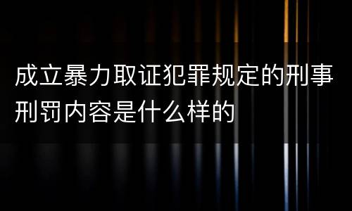 成立暴力取证犯罪规定的刑事刑罚内容是什么样的