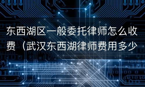 东西湖区一般委托律师怎么收费（武汉东西湖律师费用多少）