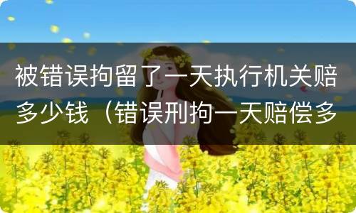 被错误拘留了一天执行机关赔多少钱（错误刑拘一天赔偿多少钱）
