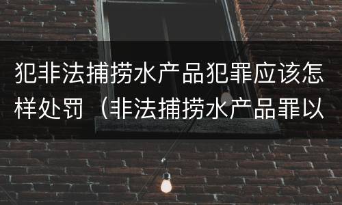 犯非法捕捞水产品犯罪应该怎样处罚（非法捕捞水产品罪以后有什么）