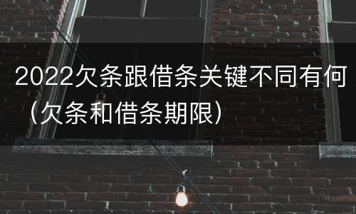 2022欠条跟借条关键不同有何（欠条和借条期限）