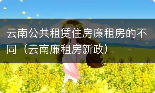 云南公共租赁住房廉租房的不同（云南廉租房新政）