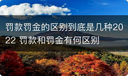罚款罚金的区别到底是几种2022 罚款和罚金有何区别