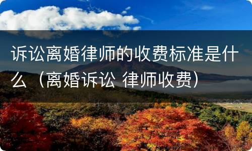 诉讼离婚律师的收费标准是什么（离婚诉讼 律师收费）