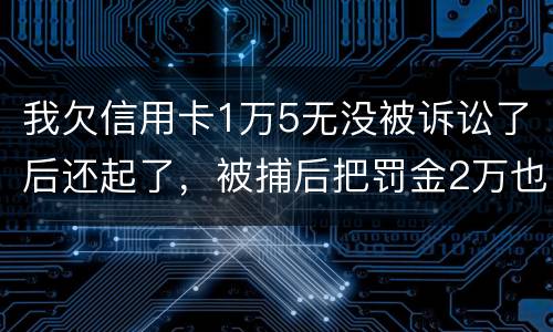 我欠信用卡1万5无没被诉讼了后还起了，被捕后把罚金2万也给了，什么时候放人呀