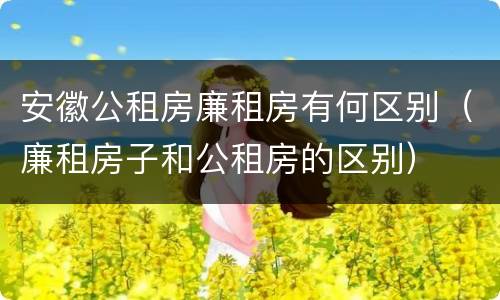 安徽公租房廉租房有何区别（廉租房子和公租房的区别）
