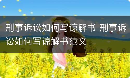 刑事诉讼如何写谅解书 刑事诉讼如何写谅解书范文