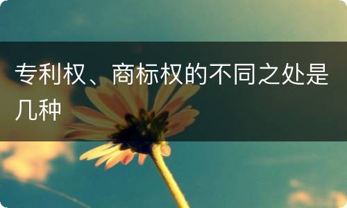 专利权、商标权的不同之处是几种