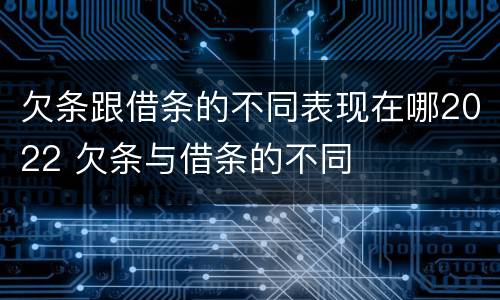 欠条跟借条的不同表现在哪2022 欠条与借条的不同