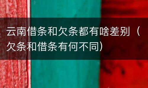 云南借条和欠条都有啥差别（欠条和借条有何不同）