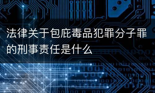 法律关于包庇毒品犯罪分子罪的刑事责任是什么