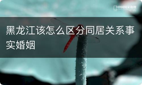 黑龙江该怎么区分同居关系事实婚姻