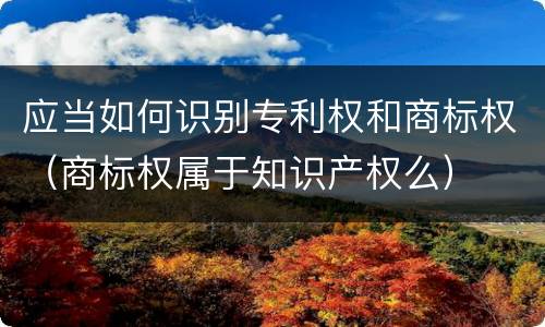 应当如何识别专利权和商标权（商标权属于知识产权么）