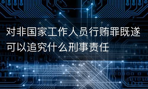 对非国家工作人员行贿罪既遂可以追究什么刑事责任