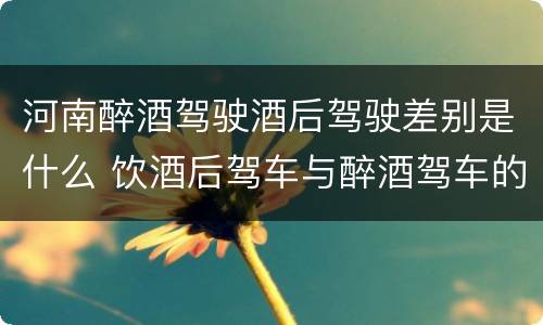 河南醉酒驾驶酒后驾驶差别是什么 饮酒后驾车与醉酒驾车的区别