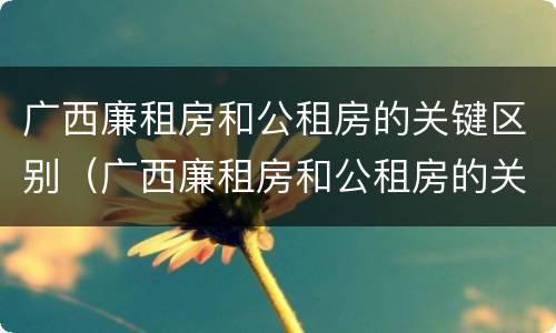 广西廉租房和公租房的关键区别（广西廉租房和公租房的关键区别在哪）