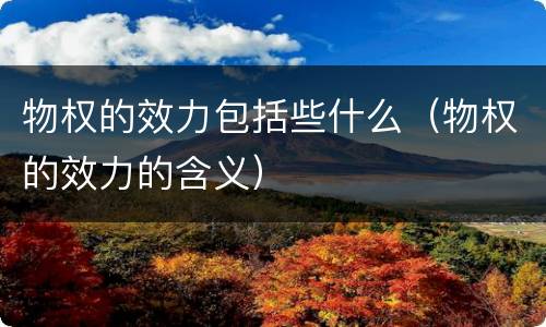 物权的效力包括些什么（物权的效力的含义）