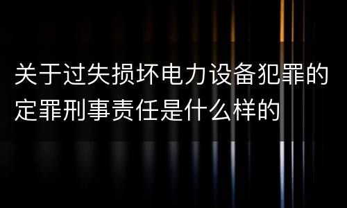 关于过失损坏电力设备犯罪的定罪刑事责任是什么样的