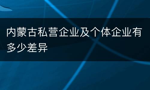 内蒙古私营企业及个体企业有多少差异