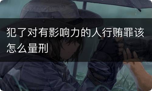 犯了对有影响力的人行贿罪该怎么量刑