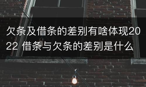 欠条及借条的差别有啥体现2022 借条与欠条的差别是什么