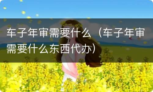 车子年审需要什么（车子年审需要什么东西代办）