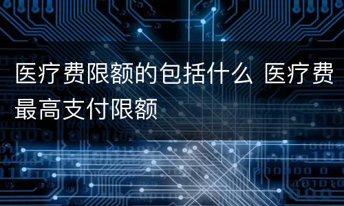 医疗费限额的包括什么 医疗费最高支付限额