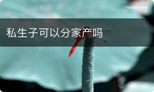 私生子可以分家产吗